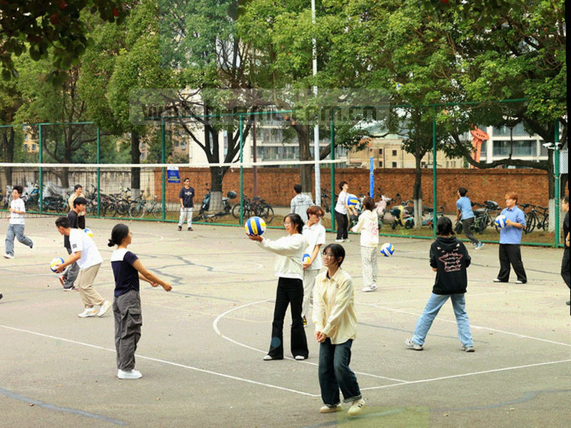 足球场鸟瞰图，带有数据标注线